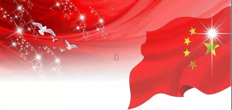 拯救受伤的猫